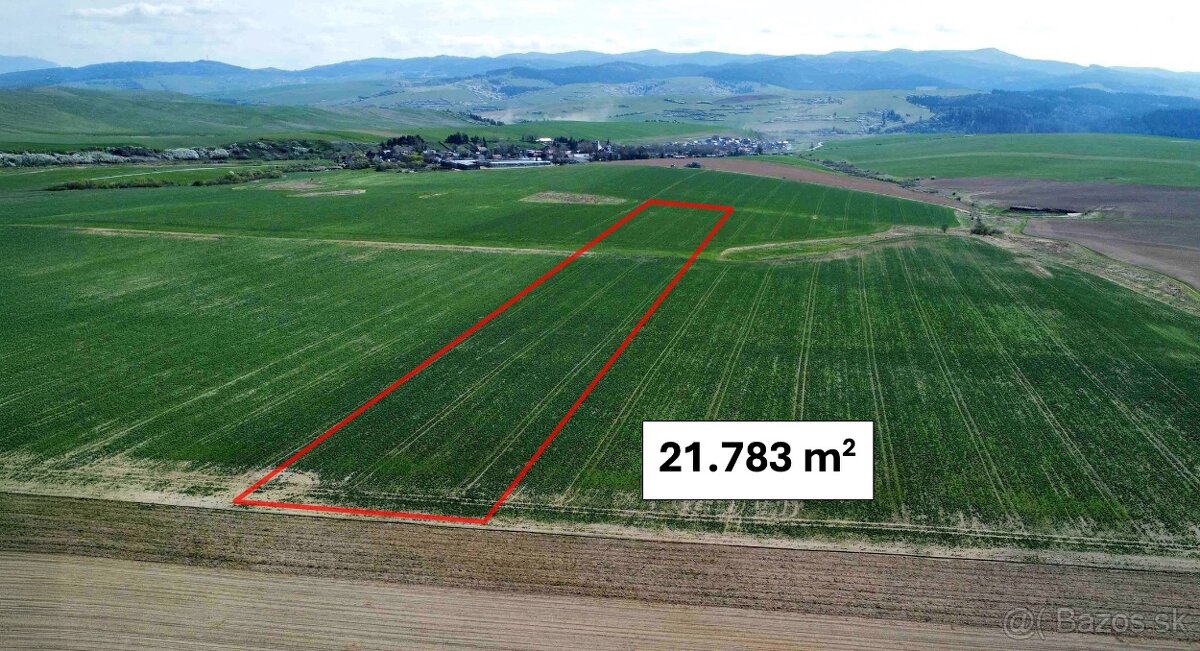 Podhorany – 21.783 m2 ORNÁ PÔDA v podiele 1/1 – Predaj