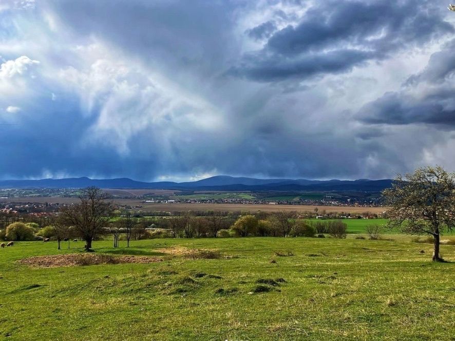 Žitavany – 880 m2 ORNÁ PÔDA a LESY – Na Predaj