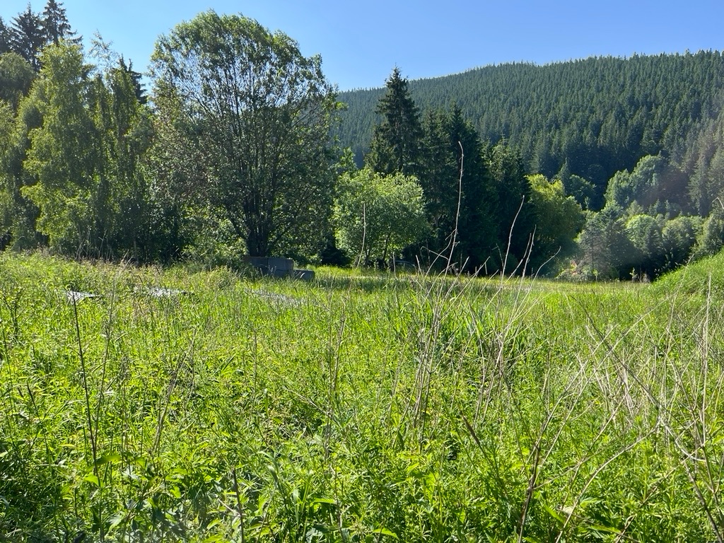 TRIOREALITY- Stavebný pozemok Makov-Čierne (so stavebným pov