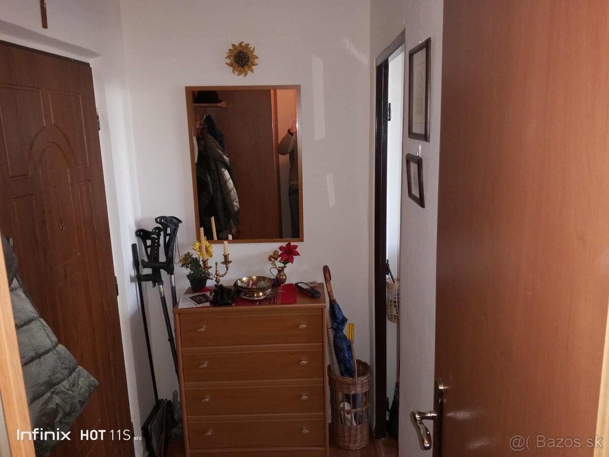 Prenajmem 1 izbový byt s lodžiou na Terase