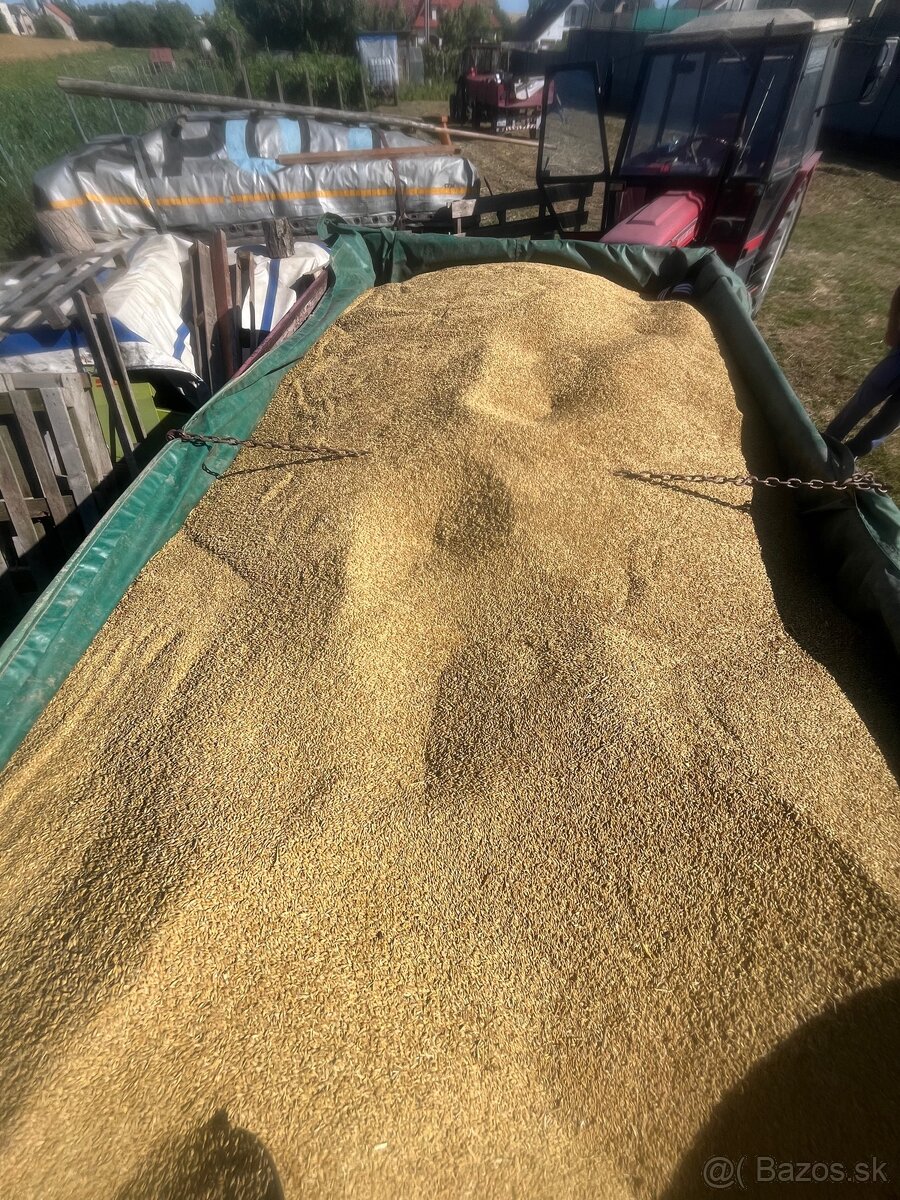 Predám jačmeň úroda 2025