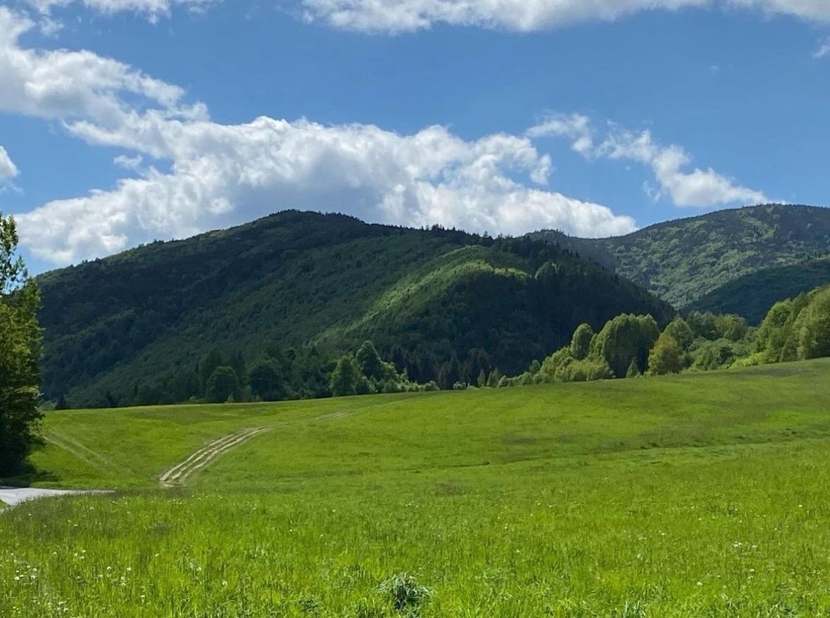 Veľký Lipník – 22.036 m2 ORNÁ PÔDA a LESY