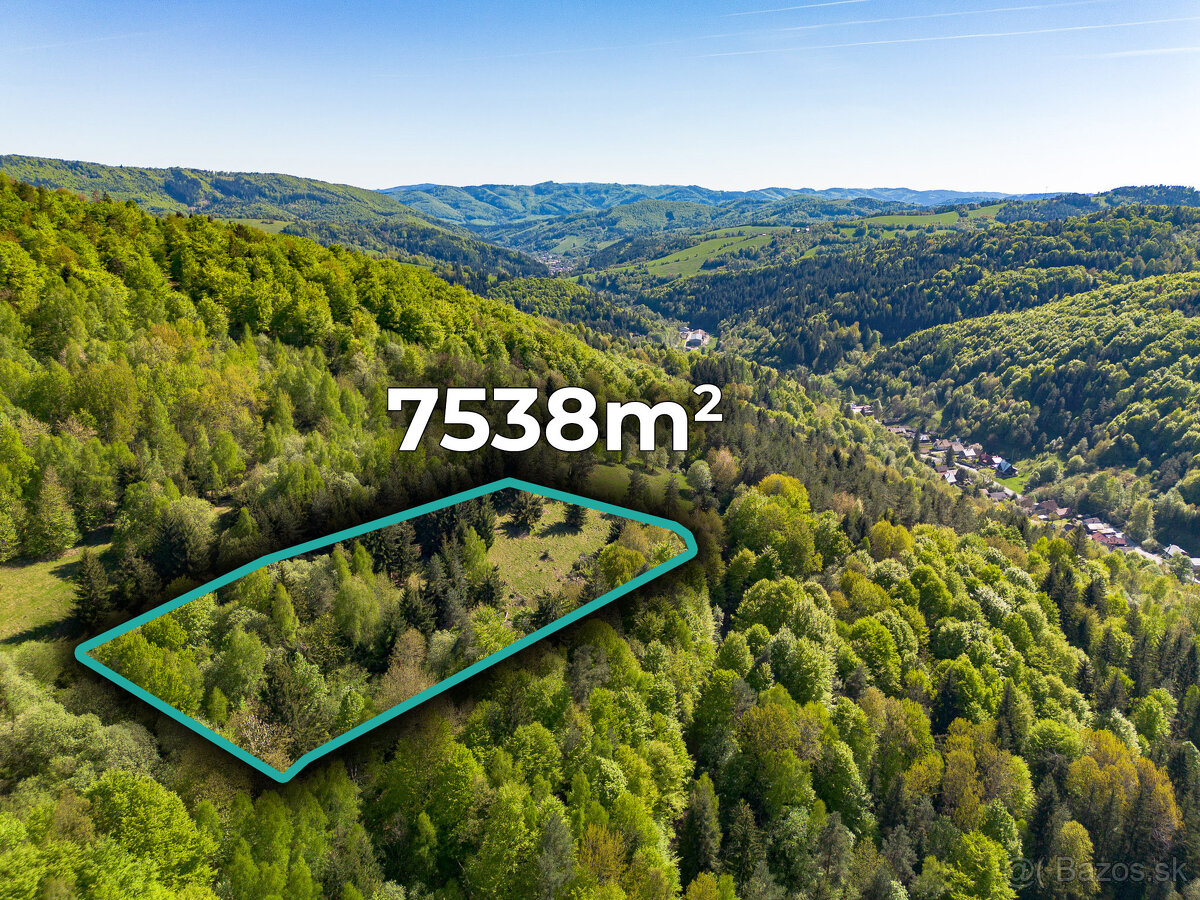 IBA U NÁS Pozemok v lese s výhľadom nad Lazmi pod Makytou