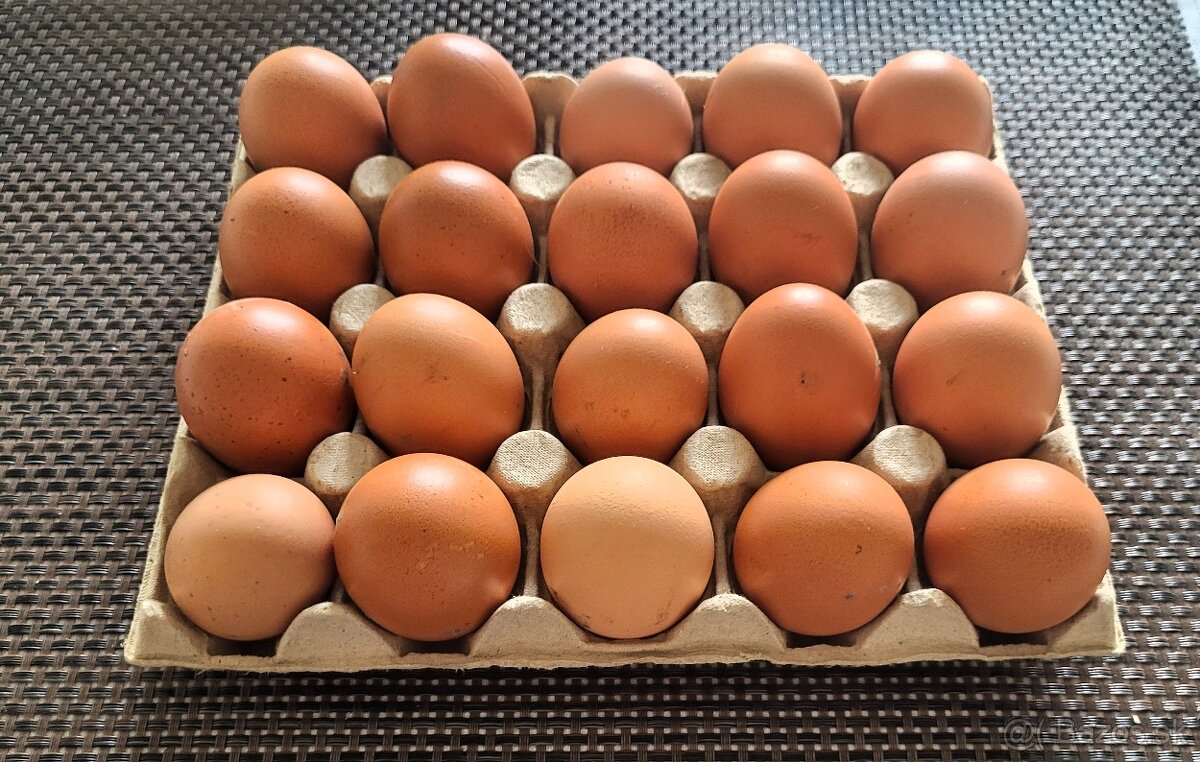 domáce vajcia/domáce vajíčka - 30 ks
