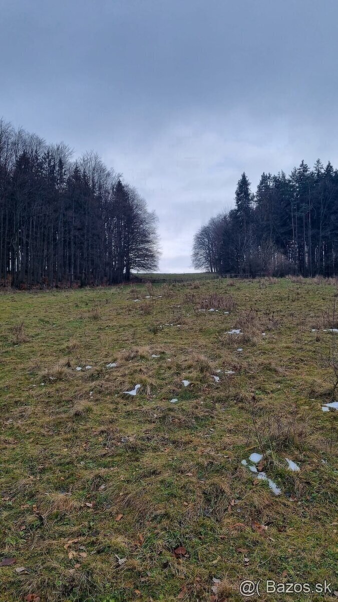 Pozemok Tajov 6161m2