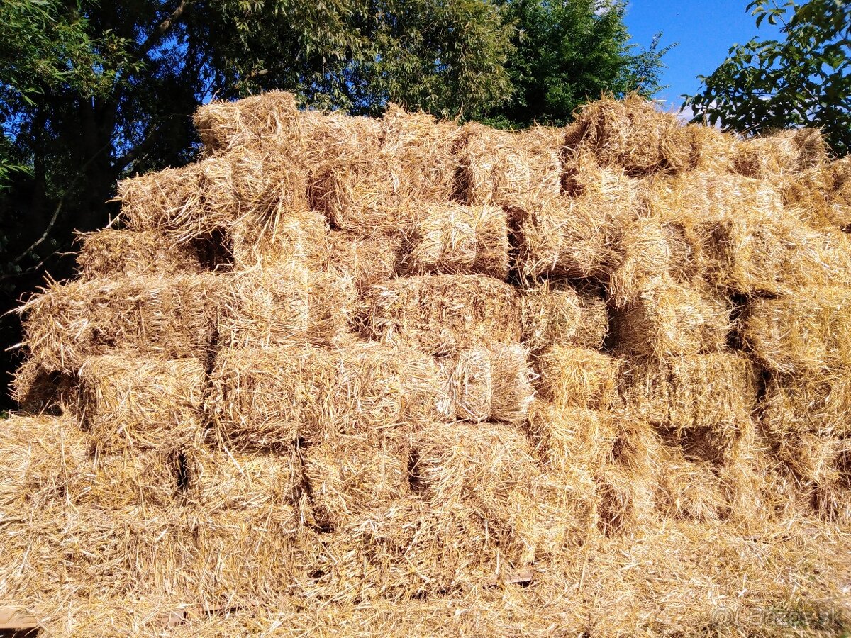 Baliky slamy