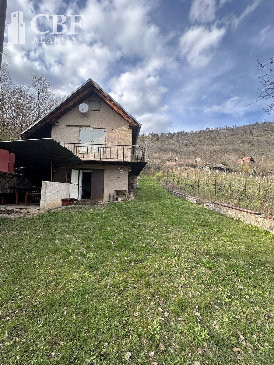 ZNÍŽENÁ CENA - Záhradná chatka s vinicou v obci Hrušov