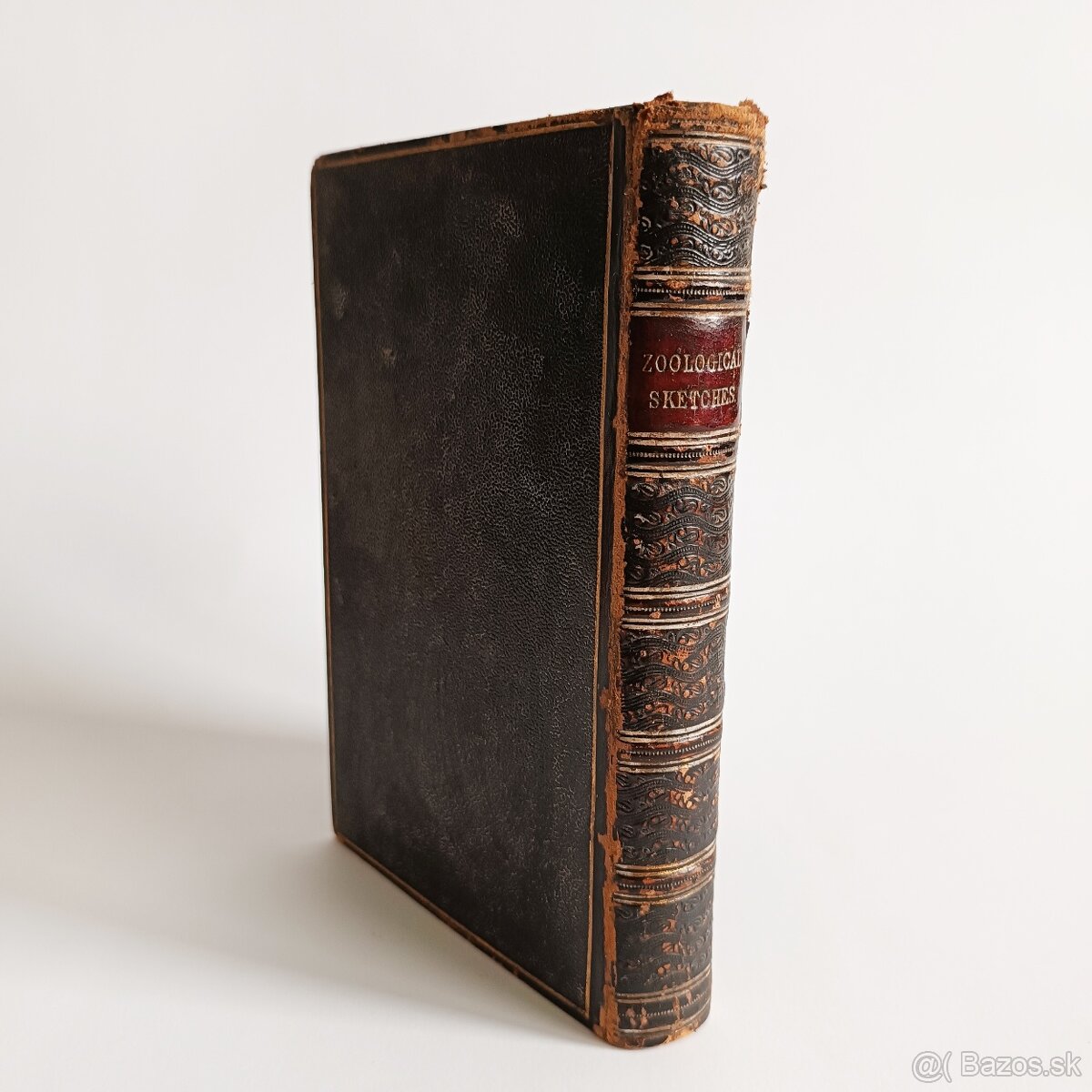 Starožitná knižka – Zoológia – Murray – 1844