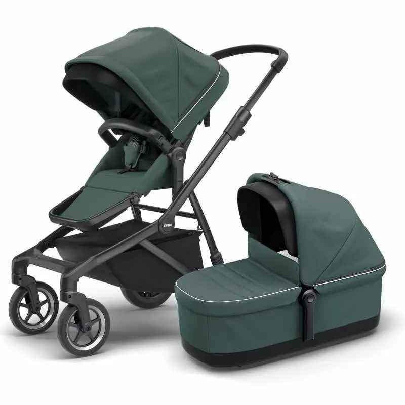 Thule Sleek