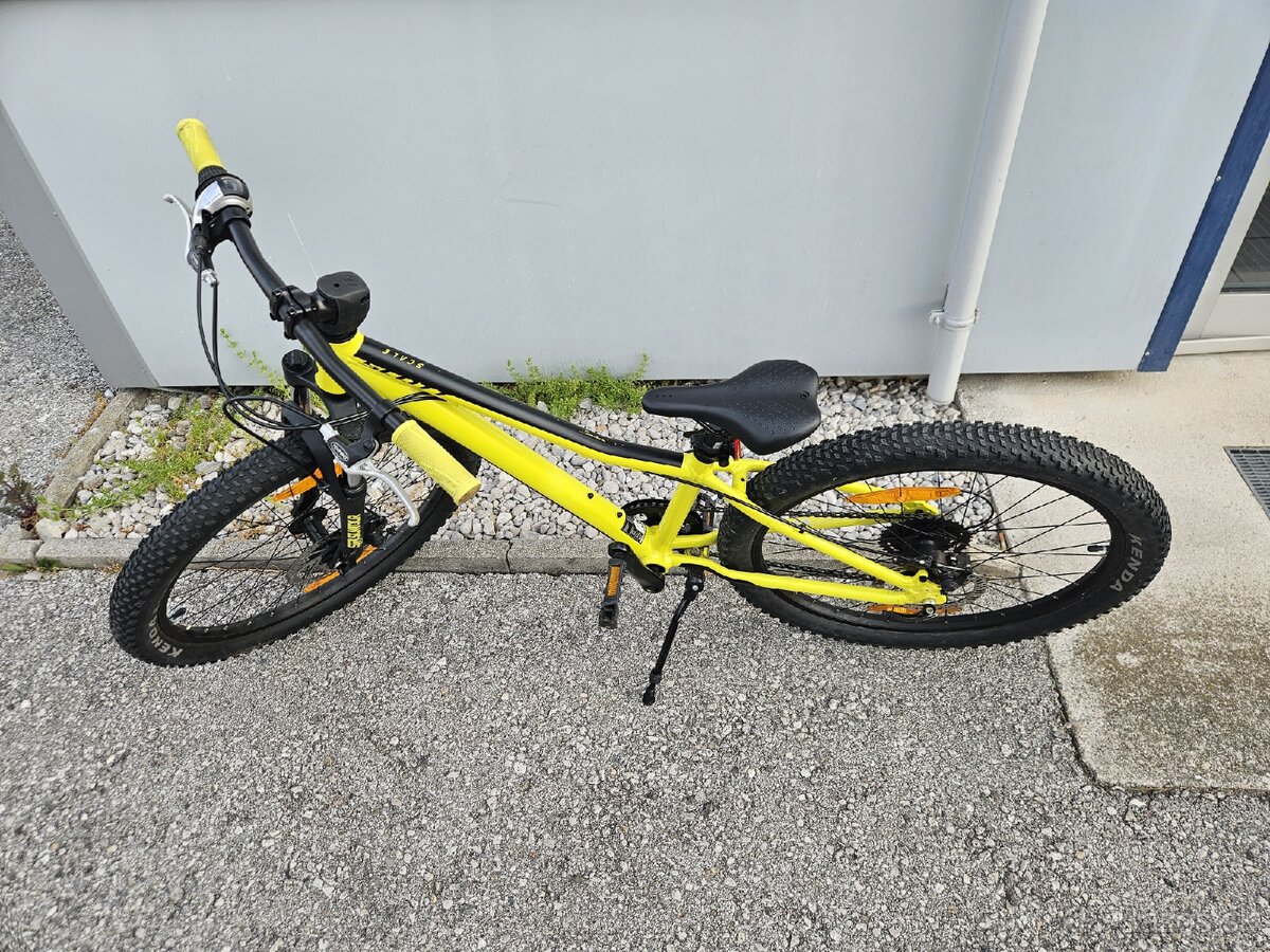 Scott 24