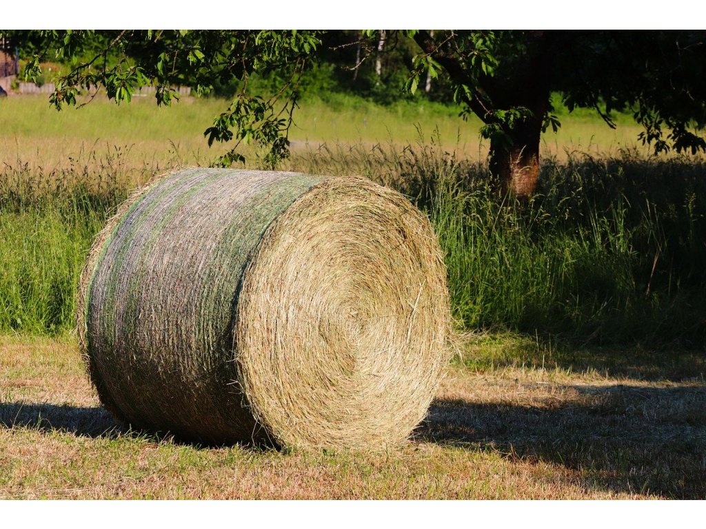 Okrúhle kotúče sena