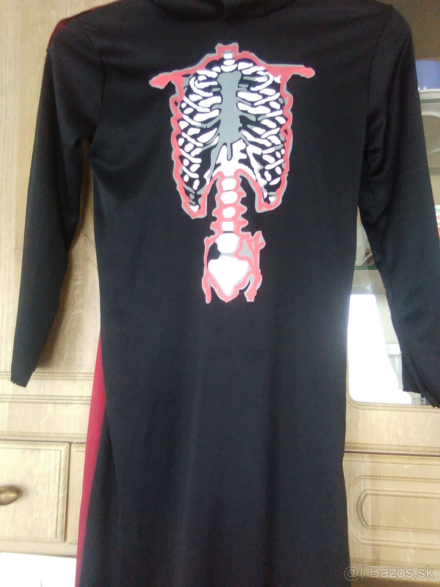 Karnevalový kostým