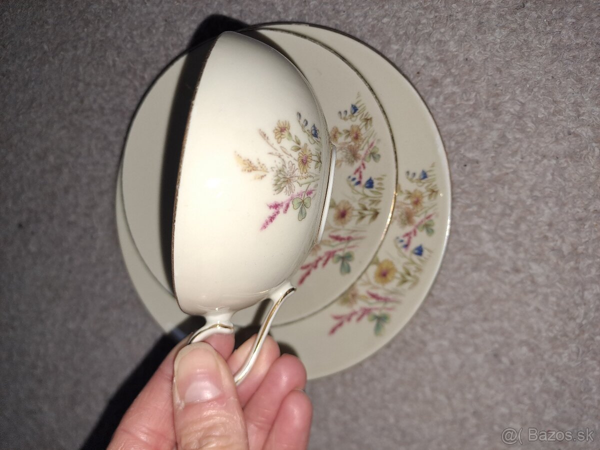 Vintage ranajkova sada