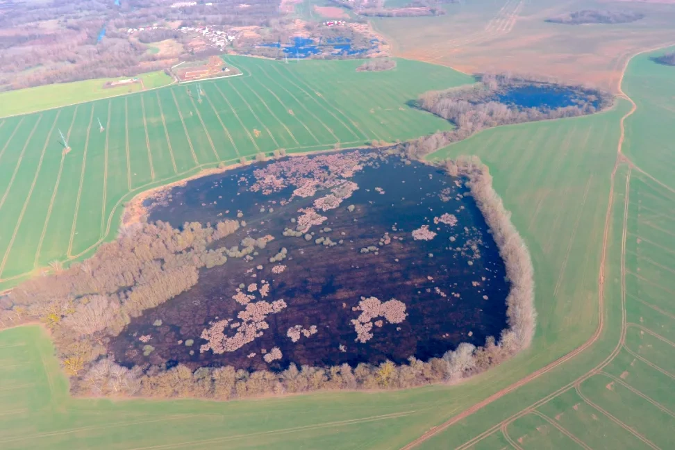 Ižkovce - 3.850 m2 ORNÁ PôDA a LESY v podiele 1/3