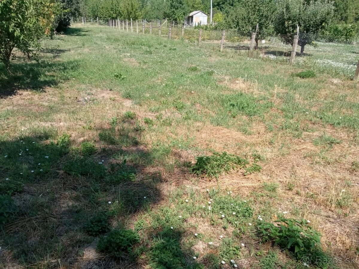 Ponúkame Vám na predaj pozemok v obci Gibárt