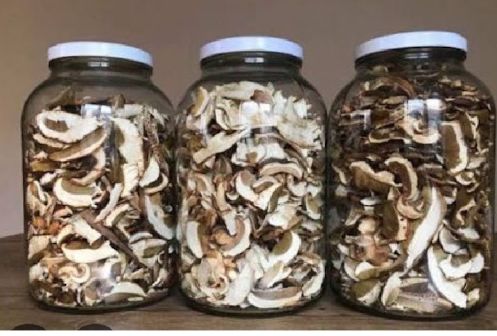 Sušené tohtoročné dubáky