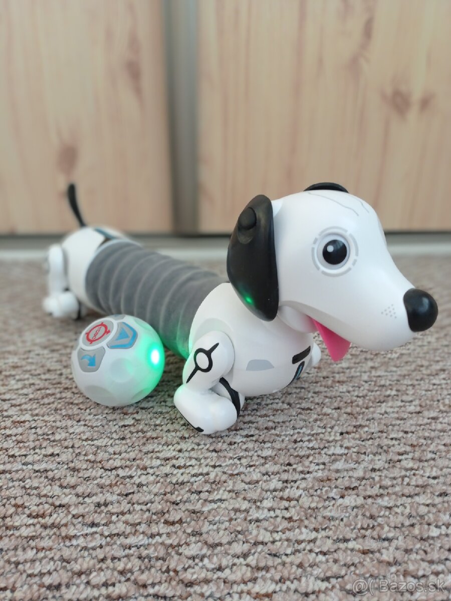 Robotický pes