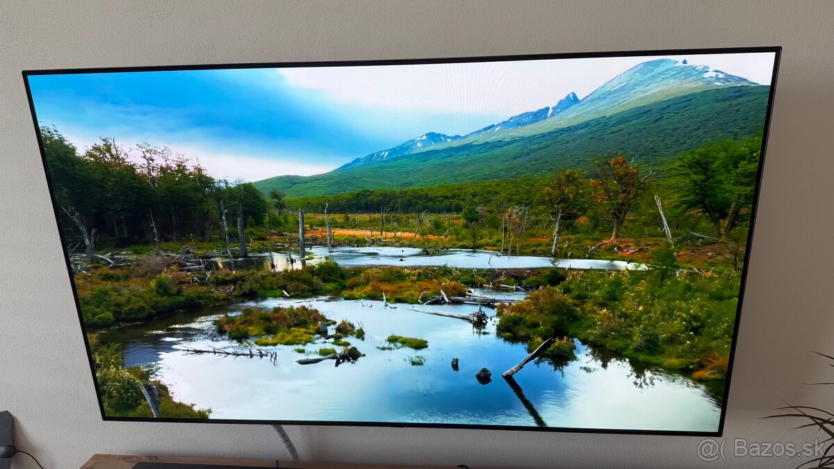 LG OLED 65 CX (2021) (OLED TV, 65", 4K, 120 Hz, VRR, ..)