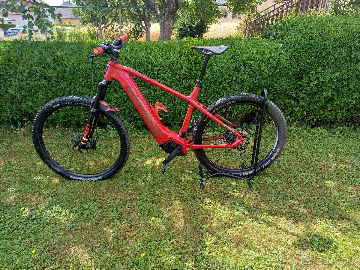 CORRATEC X VERT PRO TEAM - mullet