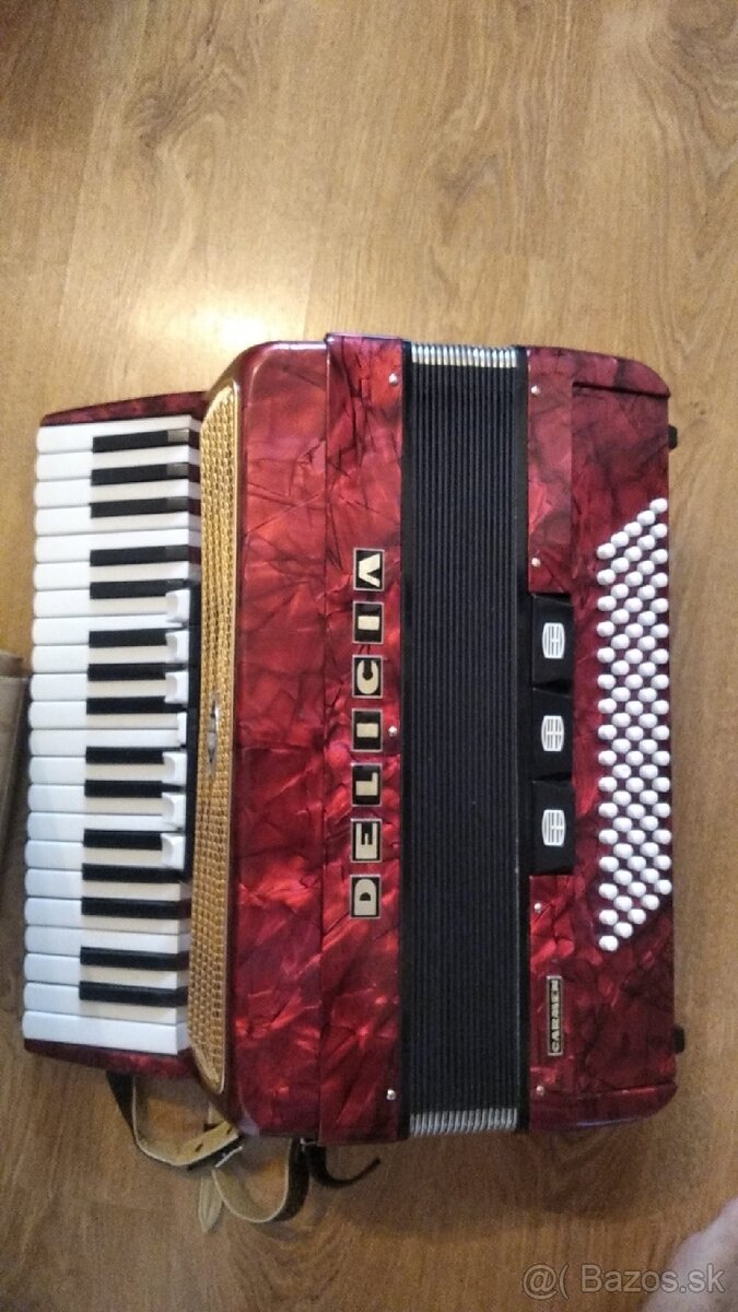 Akordeón 96b
