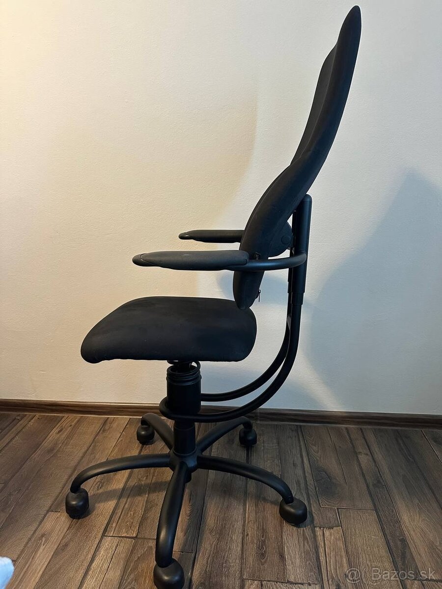 SPINALIS NAVIGATOR