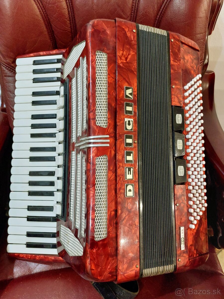 Delicia Choral XIV 120 basov