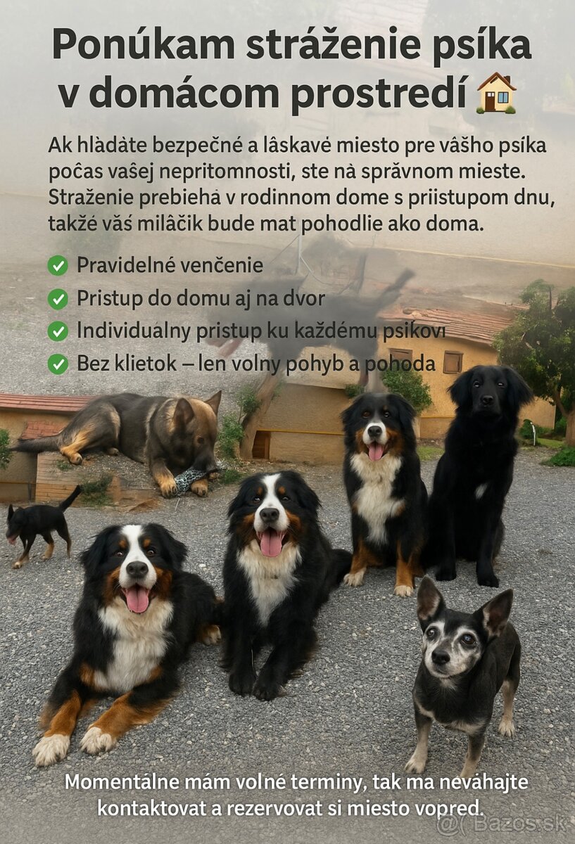 Stráženie psíkov 🐾
