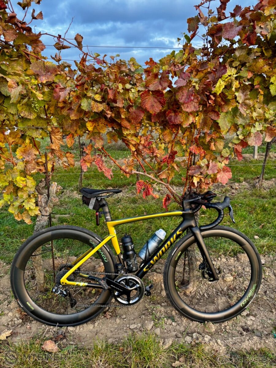 S-Works Tarmac SL7, Sagan Edition