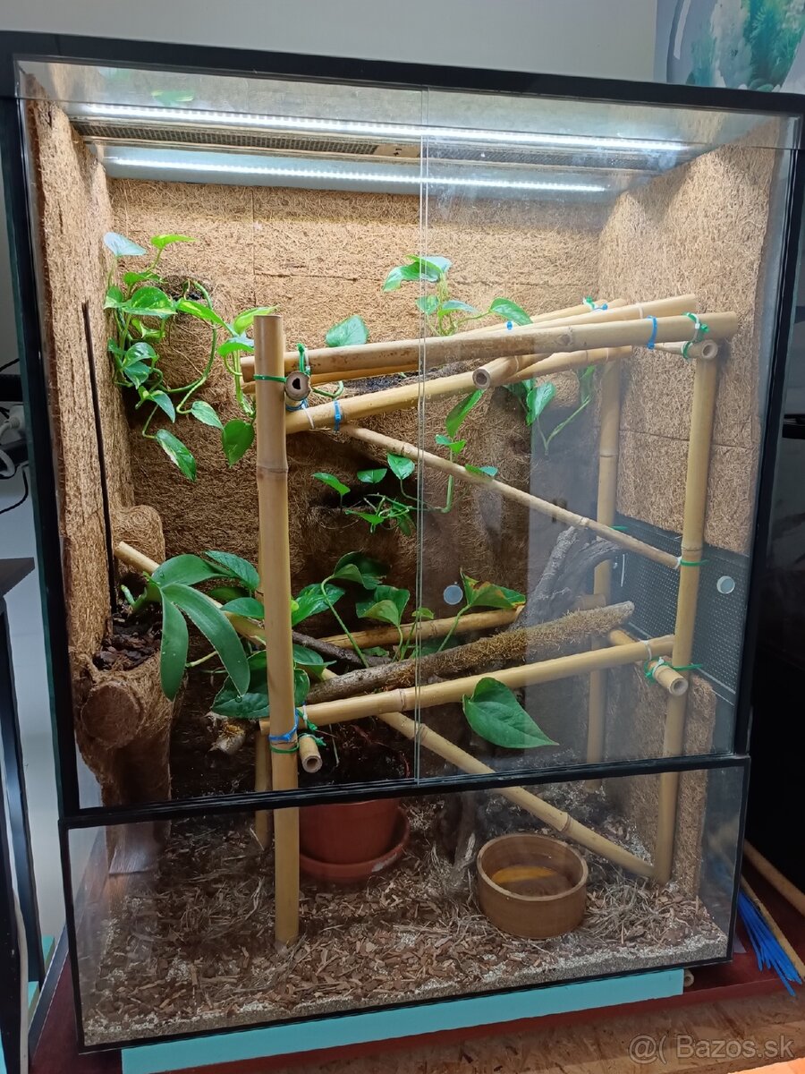 Terarium