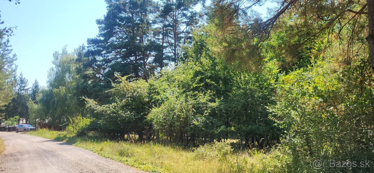 🌲 Pozemok na predaj – Zlatnícka dolina