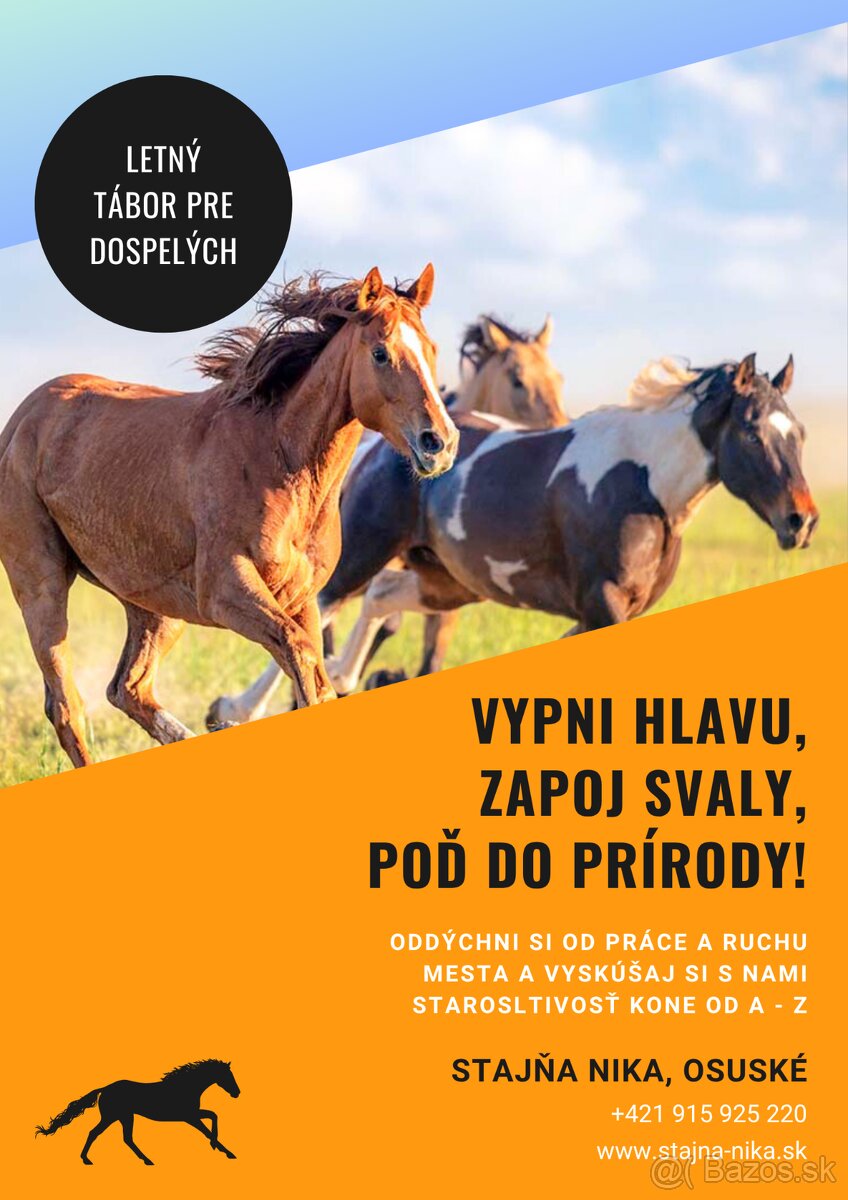 Konský tábor pre DOSPELÝCH