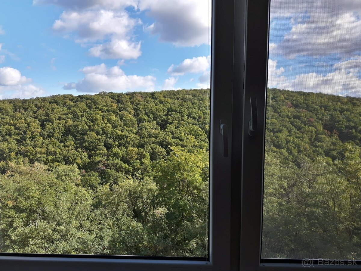 NA PRENÁJOM NEPRIECHODNÁ IZBA NAD LESOM - BRATISLAVA KV