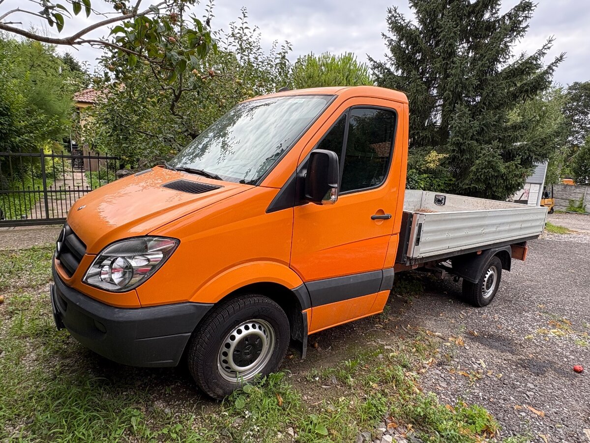 Mercedes Sprinter 313 Valnik