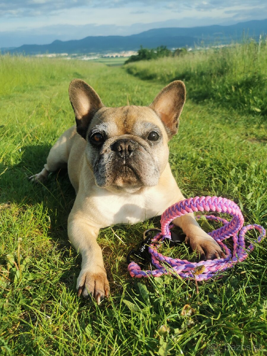 Paracordové obojky a vodítka