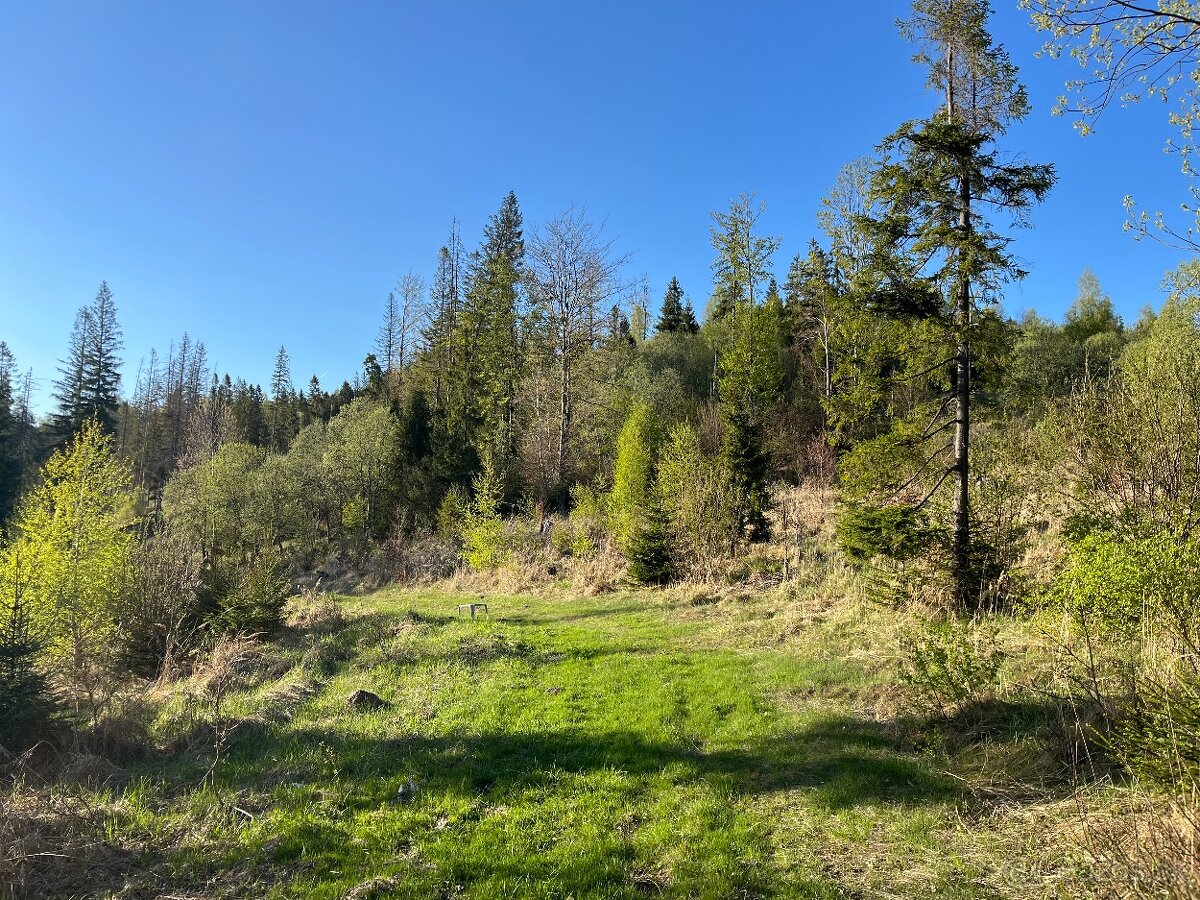Pozemok