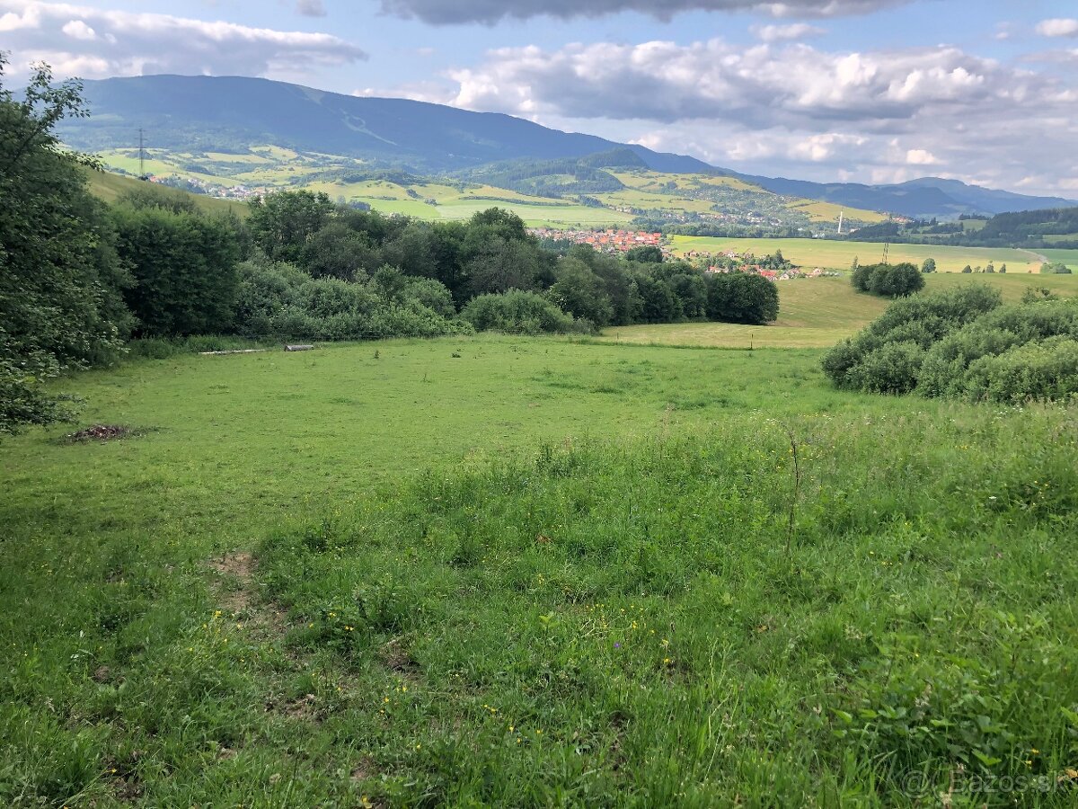 Domov dôchodcov pre kone