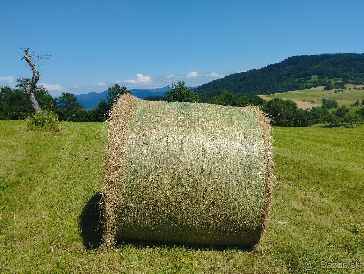 Predám veľké balíky sena
