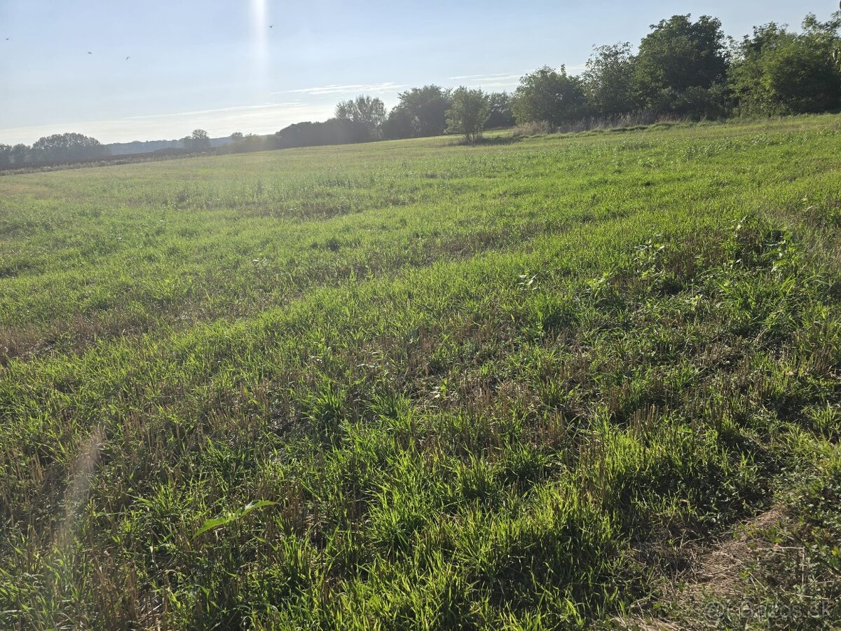 Na predaj rodinný dom s pozemkom 3571 m2 ( v cene ZP )