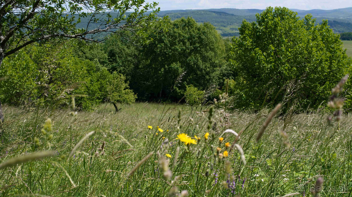 Pozemok(440m2),v katastrál. úz. Pukanec -na predaj