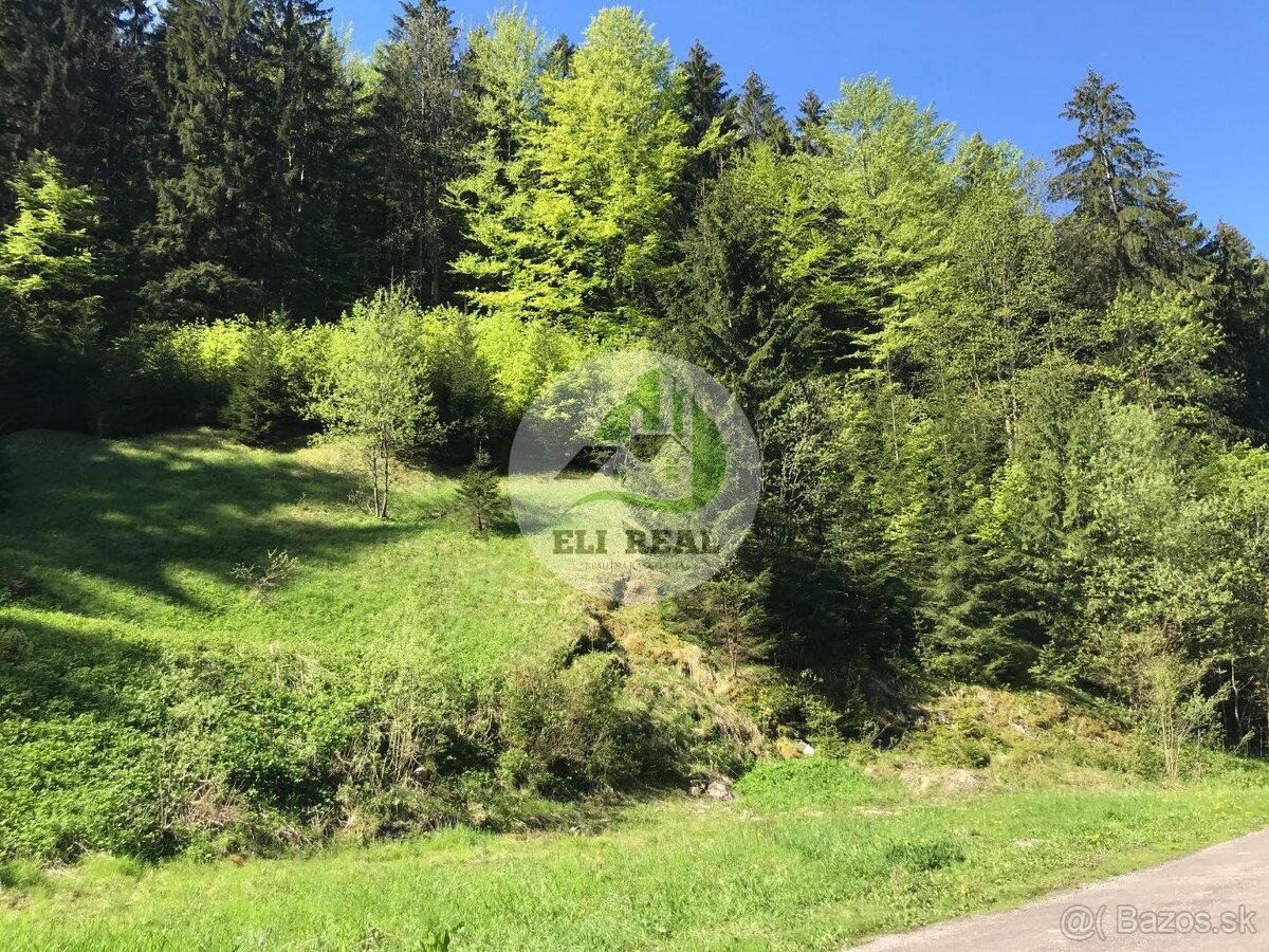 Exkluzívne na predaj stavebný pozemok 3116 m² - Donovaly