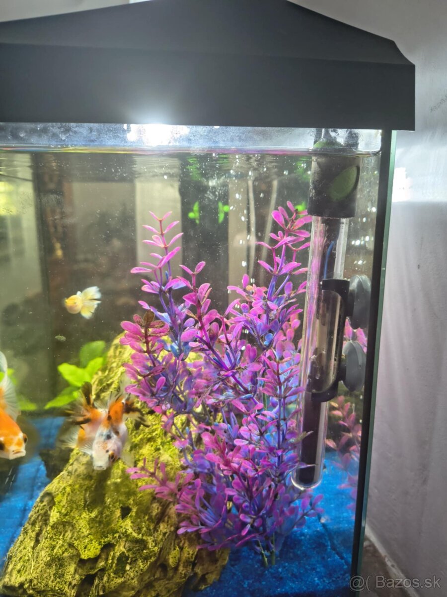 Predám 50L akvárium
