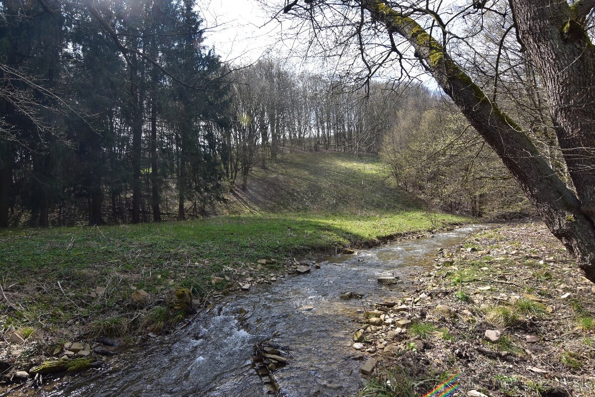 Na predaj krásny lesný pozemok Drietoma - Liešna, 6549m2