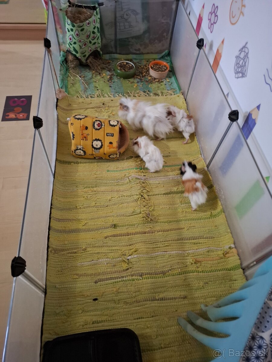 Klietka pre morča, zajaca, ježka...