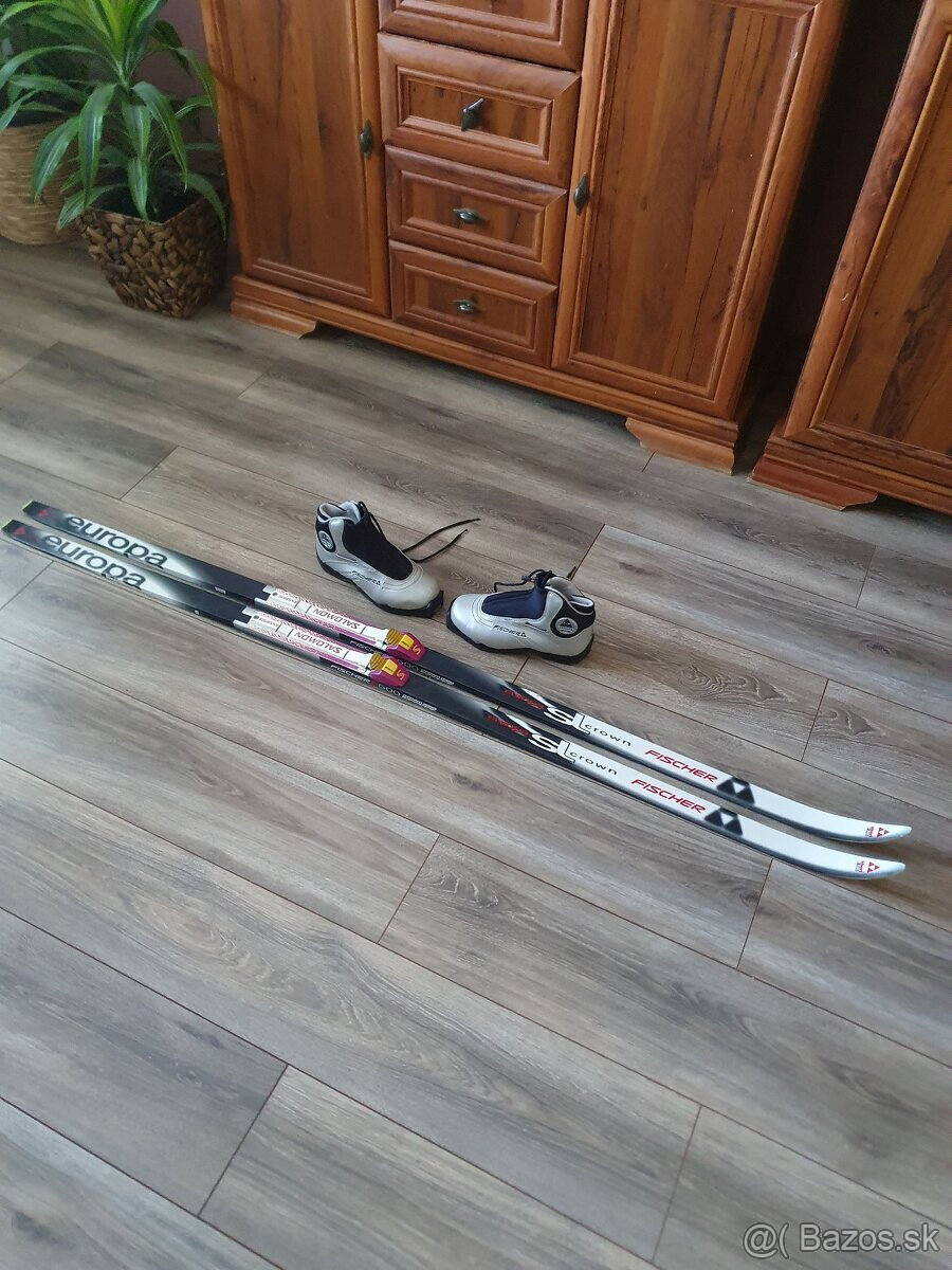 Predam bezkovy set,Fischer,173 cm,SNS,c.39,supiny