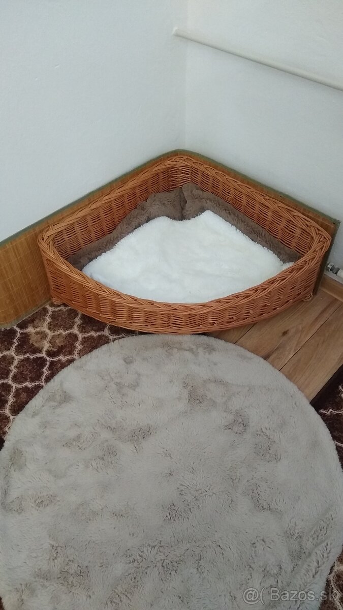 PRÚTENÝ ROHOVÝ PELECH THEO III.