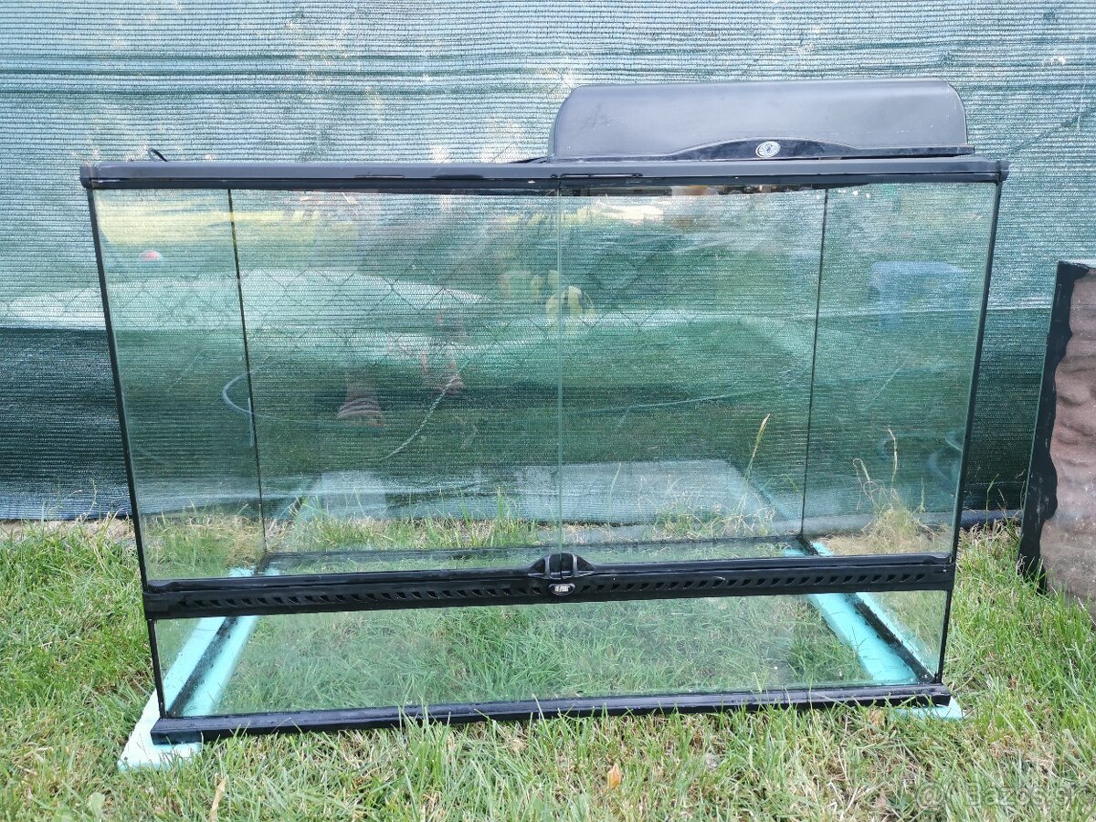 Terarium