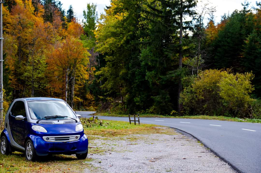 Smart 450 0.8 cdi