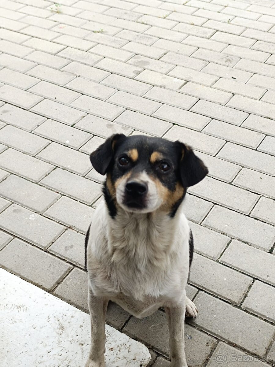 Darujeme