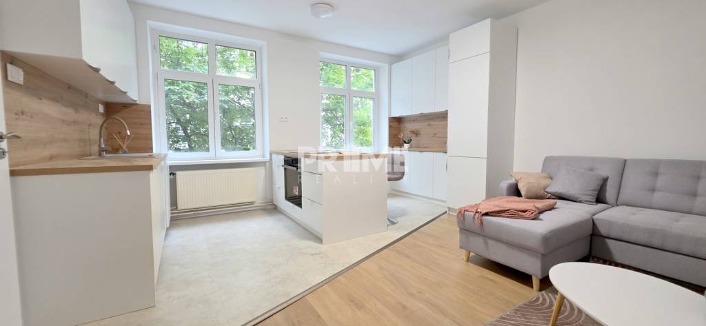 JEDINEČNÝ 2i byt, CENTRUM, REKONŠTRUKCIA, EUROVEA, Klemensov