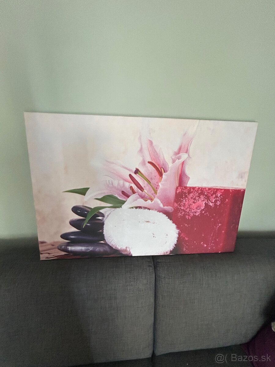 Obraz na stenu FENG SHUI